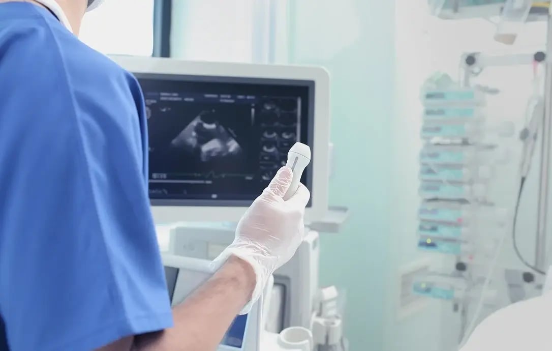 Early Pregnancy Programme