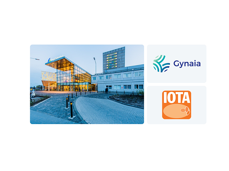 Collage_Haga_IOTA-Gynaia-vs3