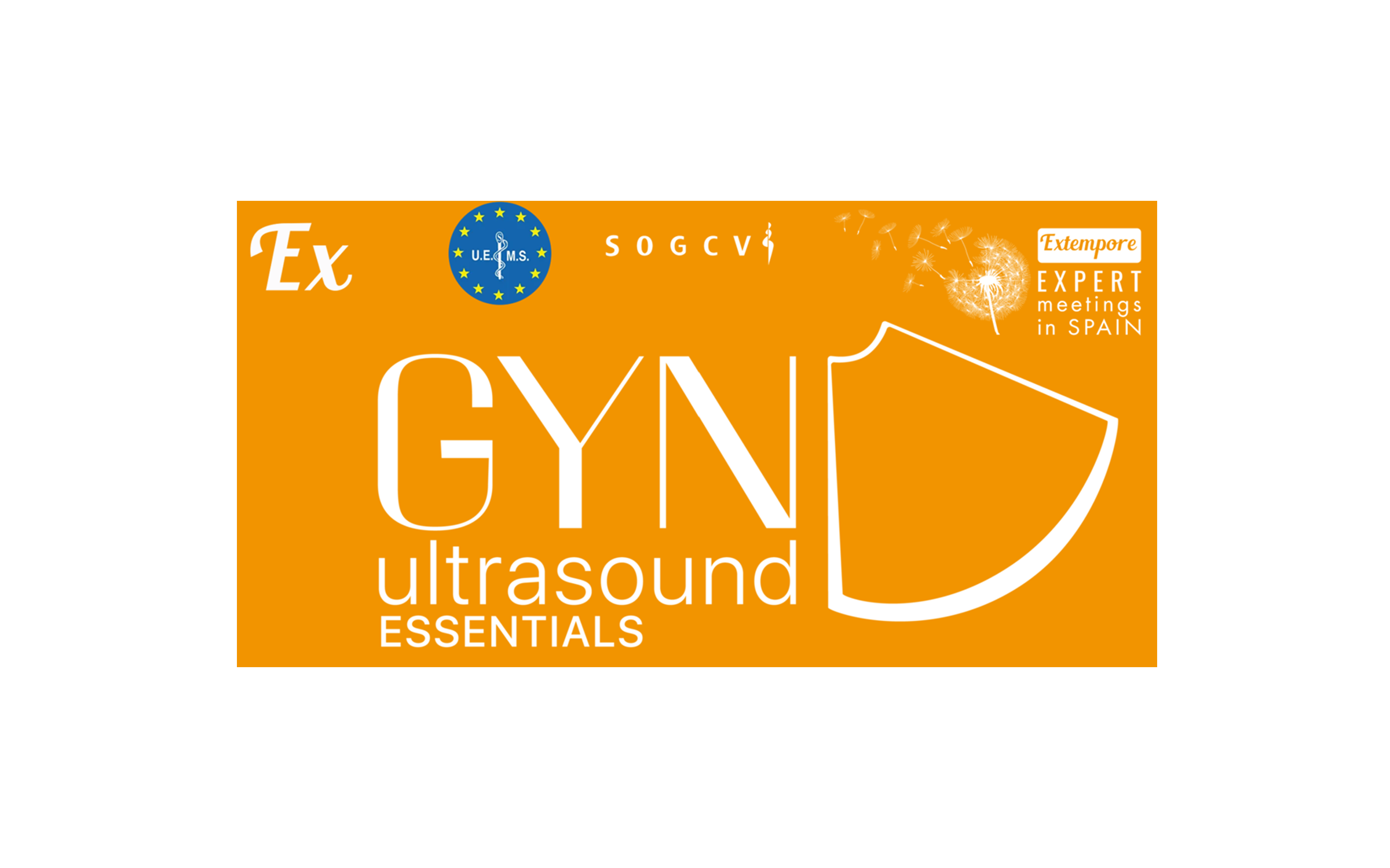 GynUltrasoundEssentials_Logo-2