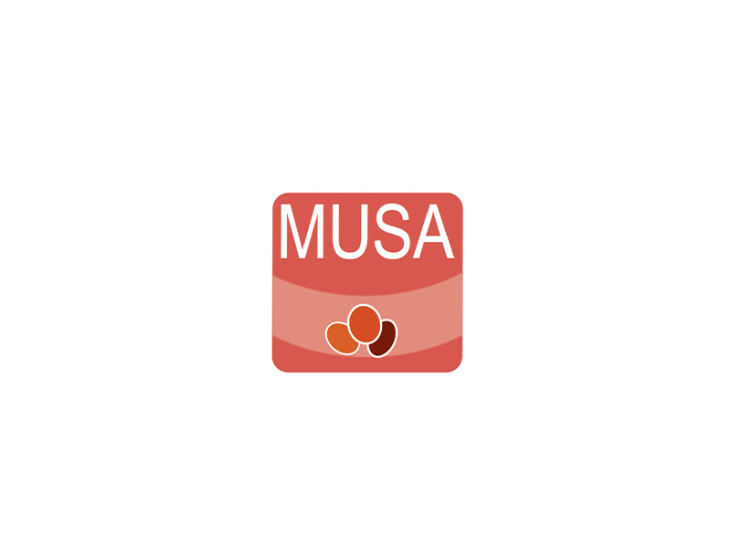 MUSA